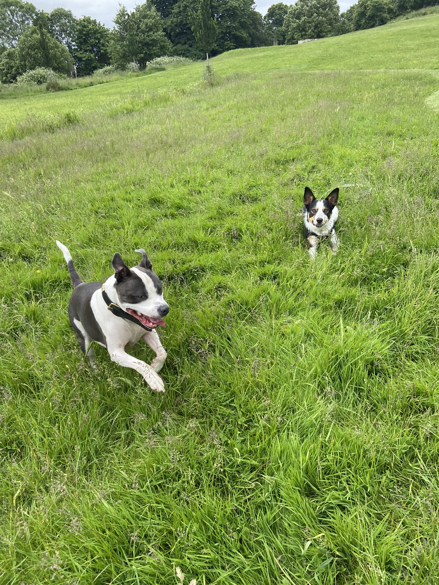 Kai and Chester