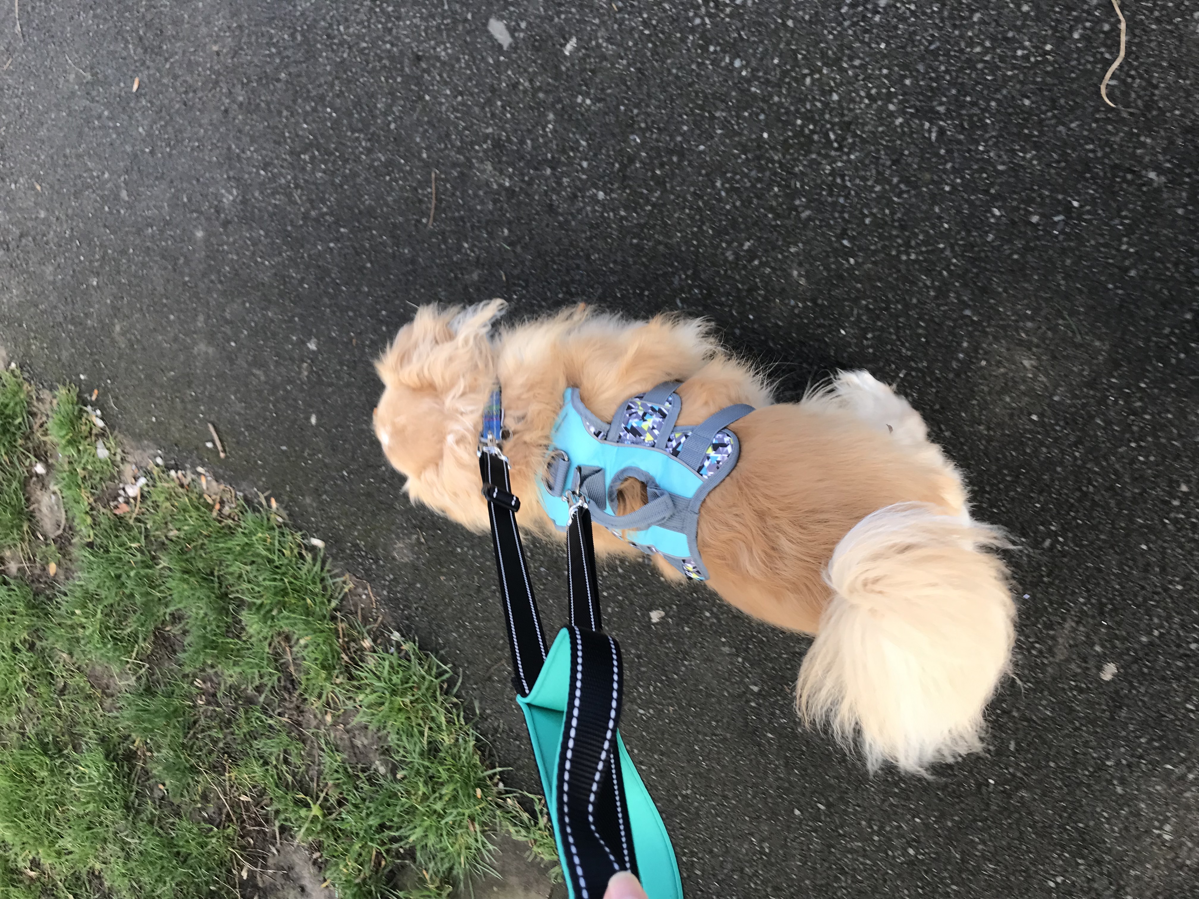 max